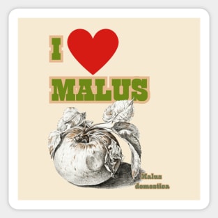 I HEART Malus. Cider and Apple Fan Chant! Sticker